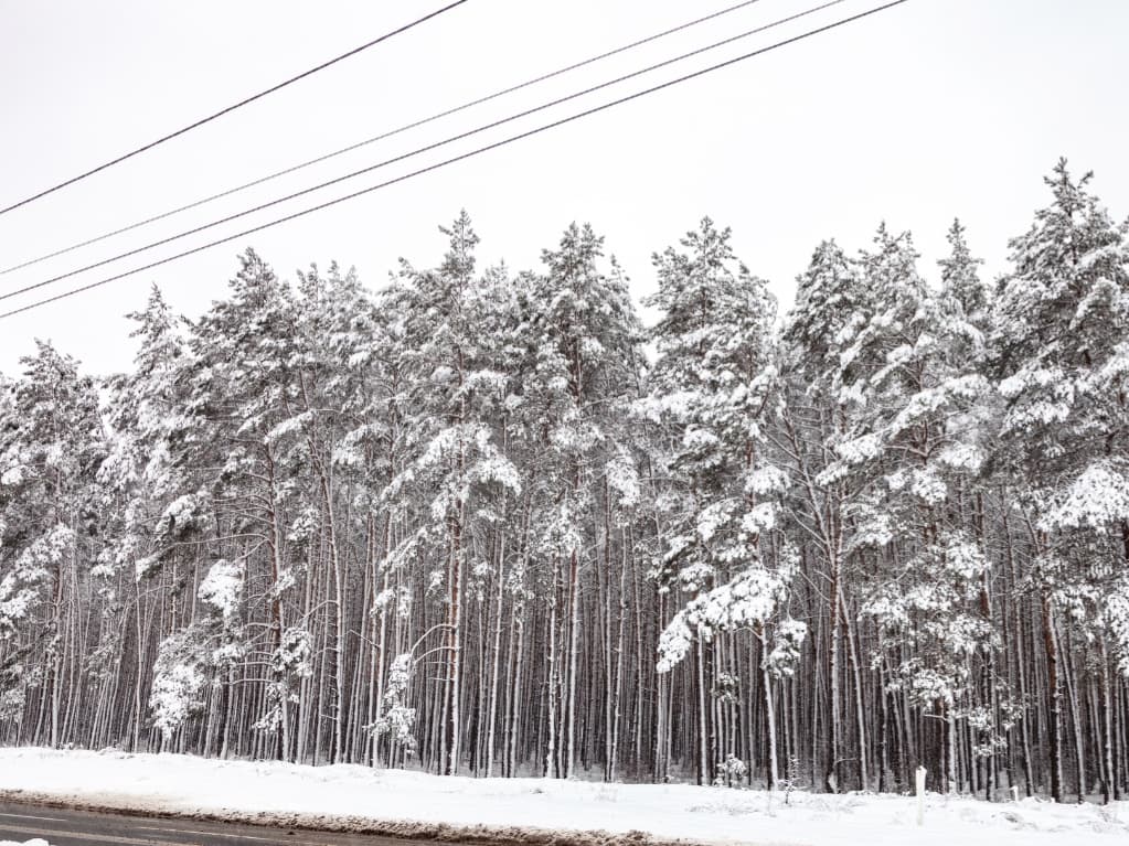 10 Winter Electrical Maintenance Checklist for Industrial Facilities